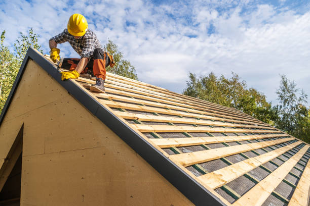 Best Roof Gutter Cleaning  in Troy, MI